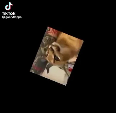 This Is Not Floppa
