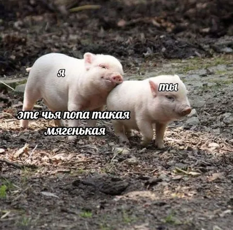 Чья попа такая мягенькая