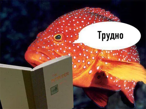 Рыба читает трудную книгу