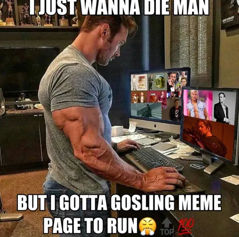 Got a Gosling Meme Page