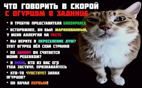 Что говорить с огурцом в заднице
