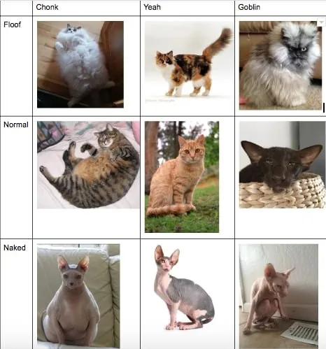 Chonk Yeah Goblin Cat Chart