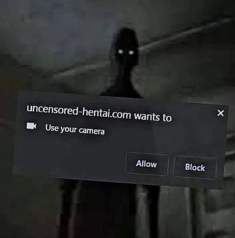 Hentai Site Camera Permission
