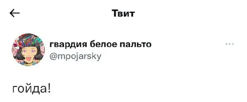 Гойда в твите