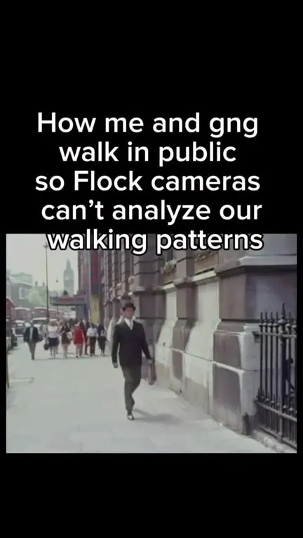 Avoiding Flock Camera Analysis
