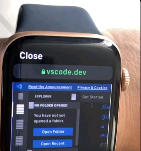 VS Code on Apple Watch