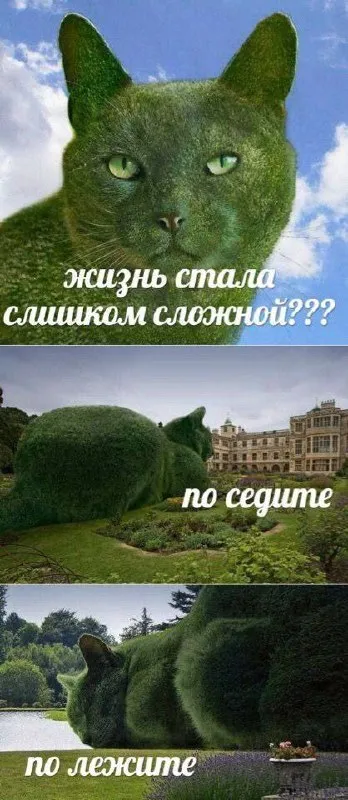 Жизнь стала слишком сложной