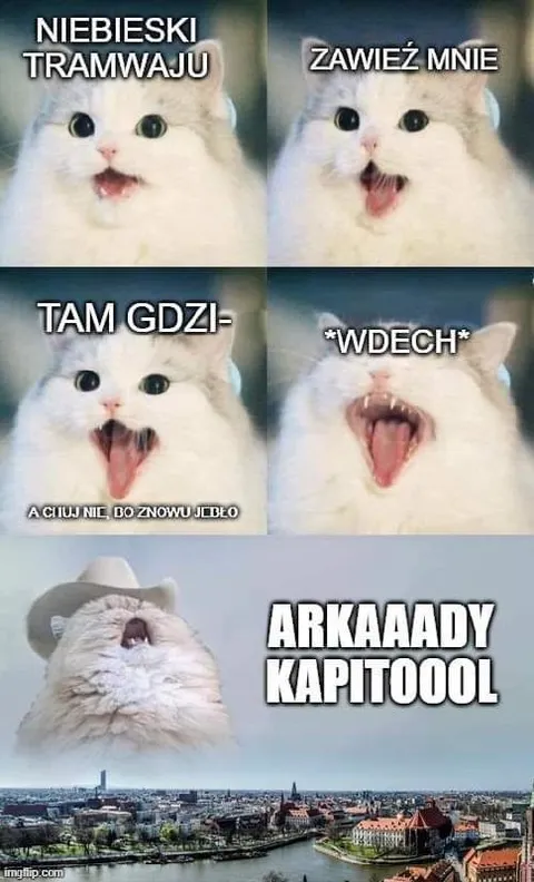 Niebieski tramwaj do Arkad Capitol
