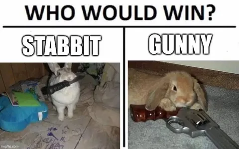 Stabbit Versus Gunny Rabbit Showdown