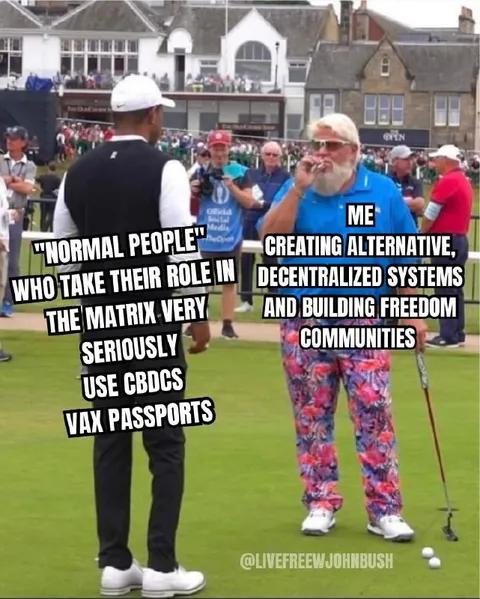 Creating Alternative Decentralized Systems