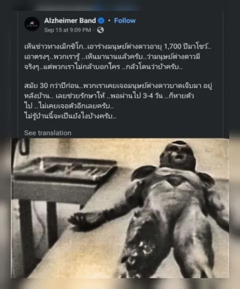 มนุษย์ต่างดาวหลังบ้าน