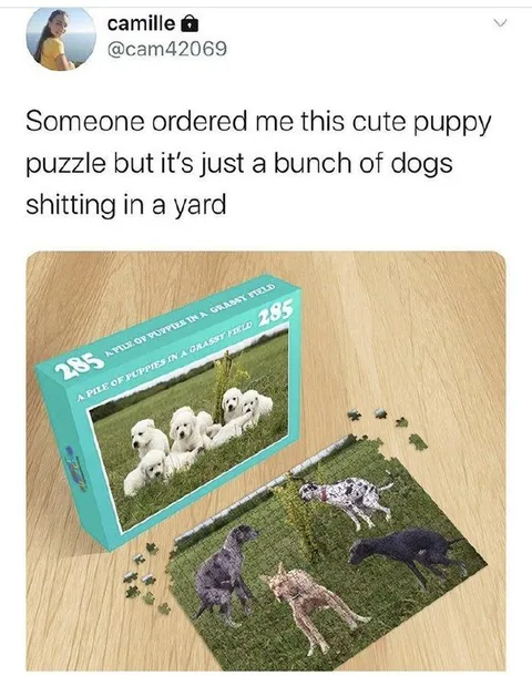 Puppy Puzzle Turns Into Dog Poop