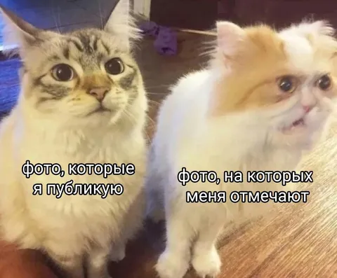 Фото, которые я публикую и где меня отмечают