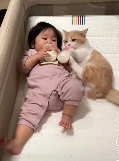 Малыш и кот пьют молоко