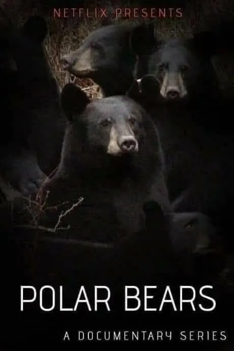 Black Bears Called Polar Bears