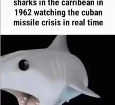Sharks Watching the Cuban Missile Crisis