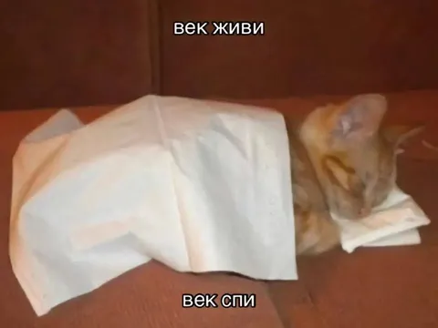 Век живи, век спи