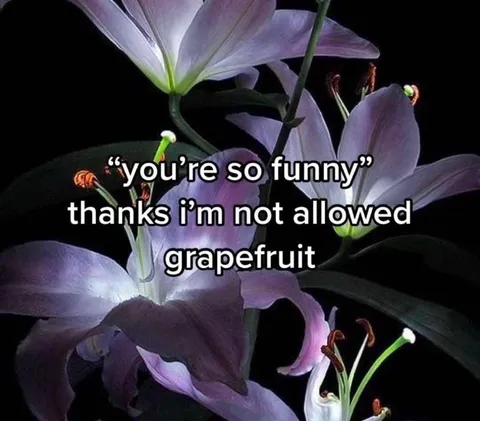 Not Allowed Grapefruit
