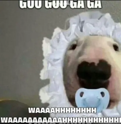Howling Dog With Pacifier