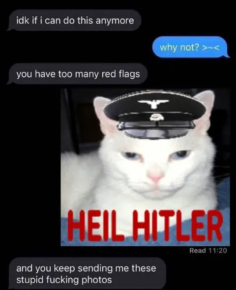 Cat Has Too Many Red Flags