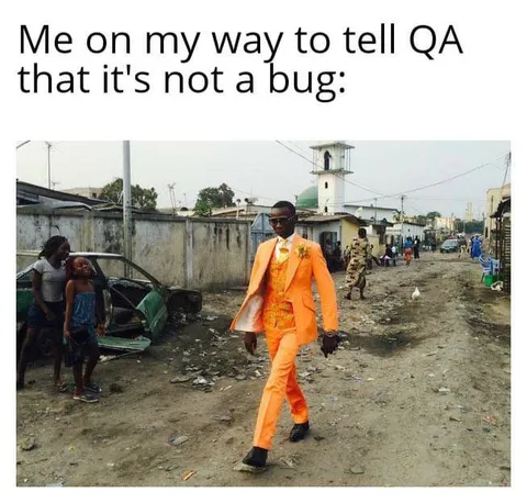 It's Not a Bug