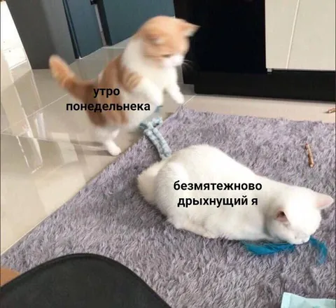 Утро понедельника и безмятежный сон
