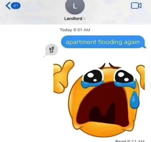 Apartment Flooding Again