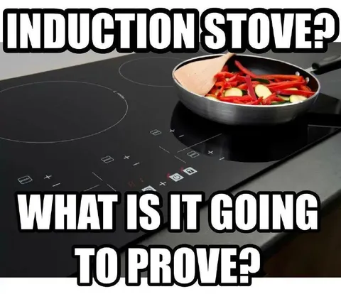 Induction Stove Proving Itself