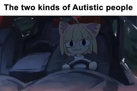 The Two Kinds of Autistic People