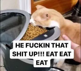 He Fuckin That Shit Up