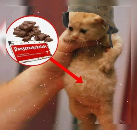 Hamster mit Panterschokolade