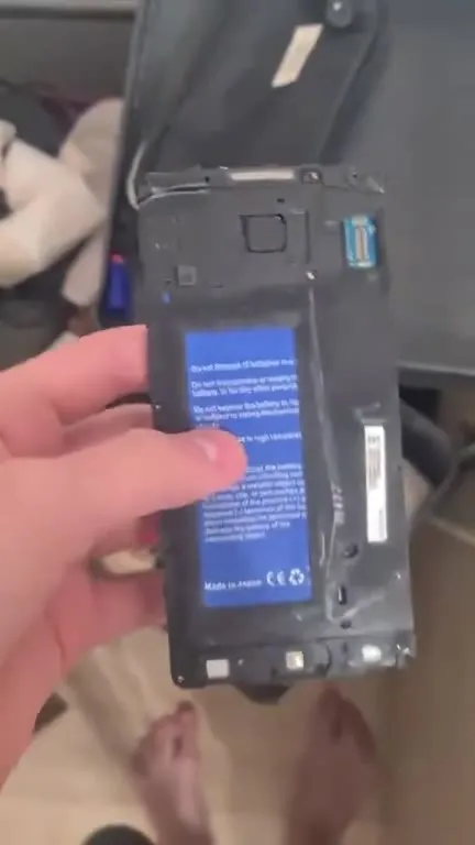 Battery Archaeology Reveal