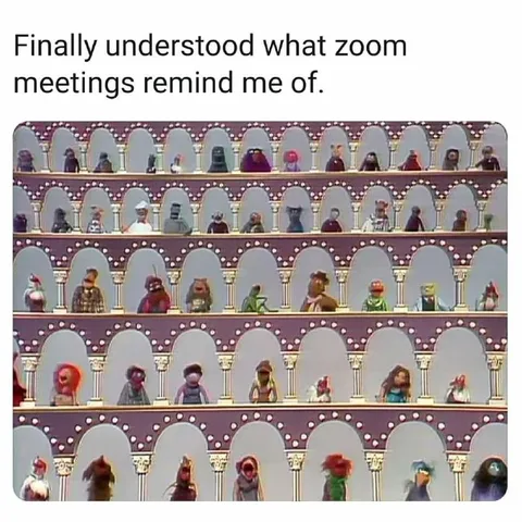 Zoom Meetings Look Like This