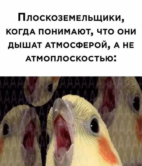 Плоскоземельщики дышат атмосферой