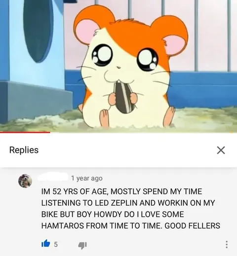 52-Year-Old Hamtaro Fan