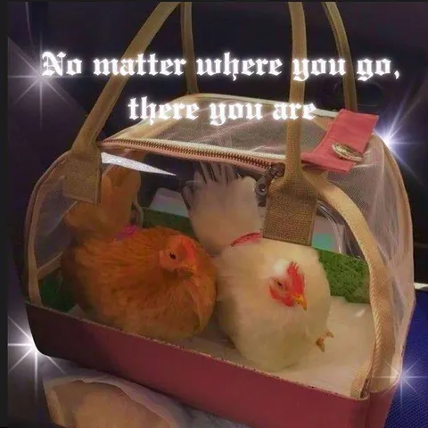 No Matter Where You Go