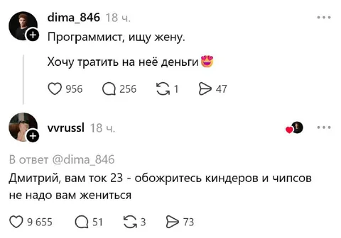 Программист ищет жену
