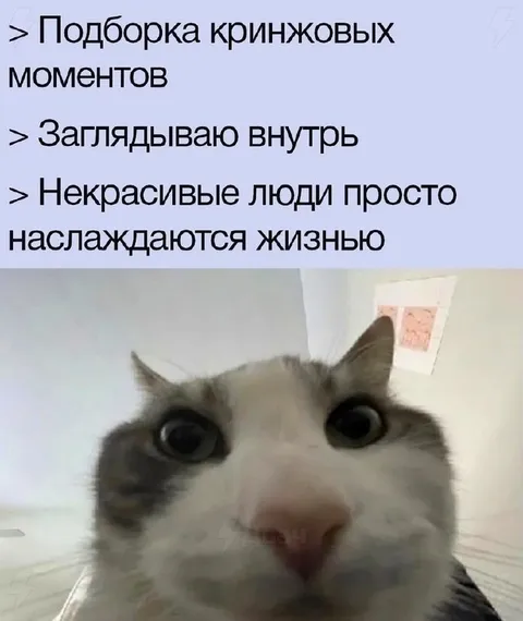Заглядываю внутрь кринжовых моментов