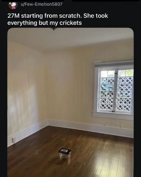 She Took Everything but My Crickets
