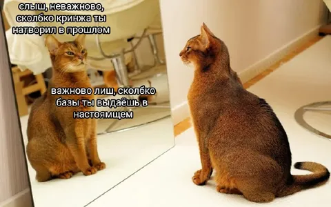 Сколько базы выдаёшь сейчас