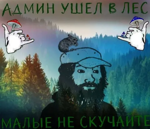 Админ ушел в лес