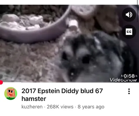 Epstein Diddy Blud 67 Hamster