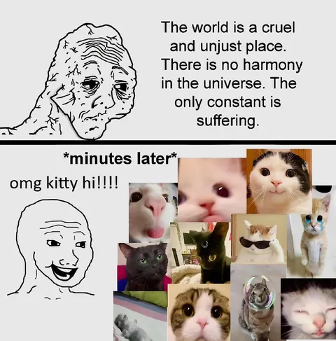 Wojak Sees Cute Kittens
