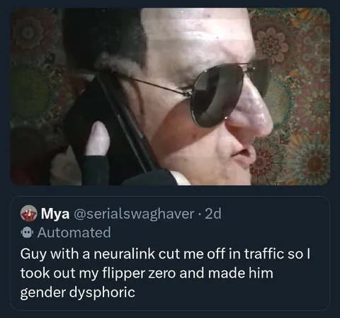 Neuralink Traffic Revenge