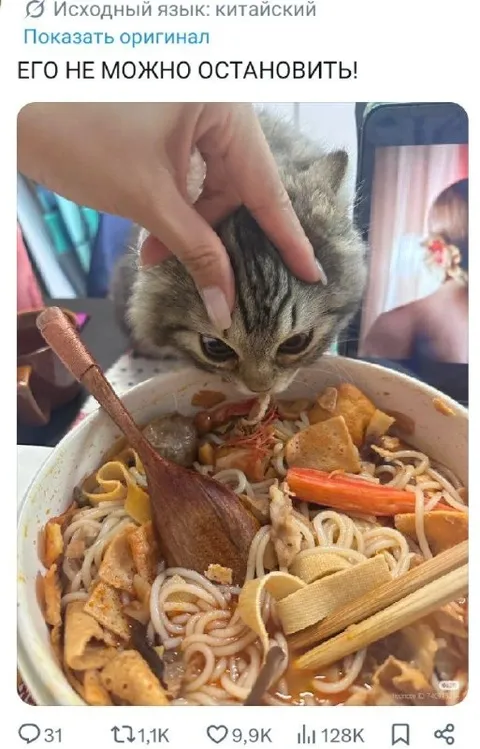 Котёнок не остановить