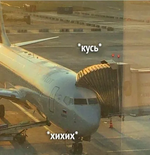 Самолёт кусает телетрап
