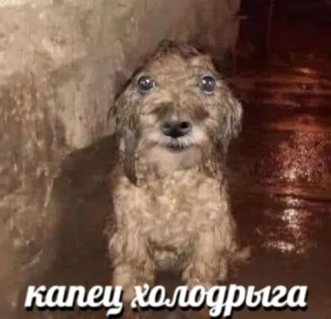 Капец холодрыга
