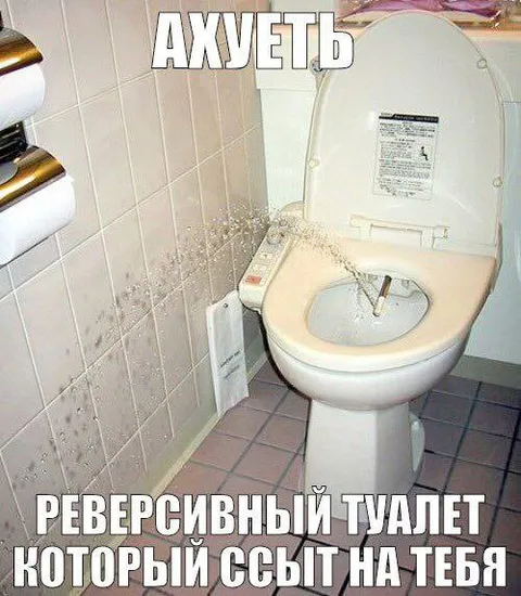 Реверсивный туалет с сюрпризом