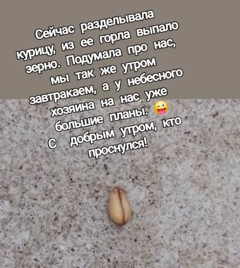 Зерно из горла курицы