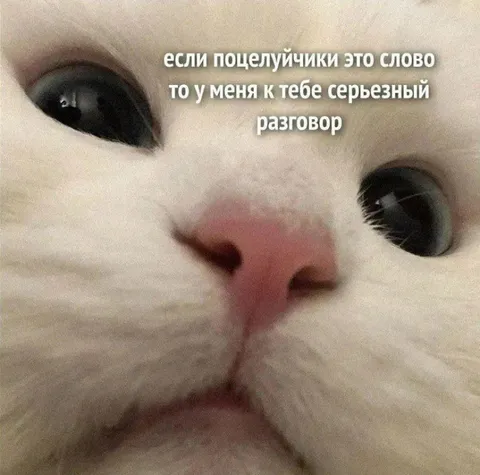 Серьезный разговор о поцелуйчиках